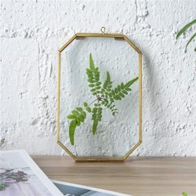 img 2 attached to 🌿 NCYP Gold Octagon Floating Glass Frame for Pressed Plant Specimen, Dried Flowers, DIY Artwork, Photo, Picture Display – 4x6 Inches, Brass Hanging Wall Decor – Frame Only