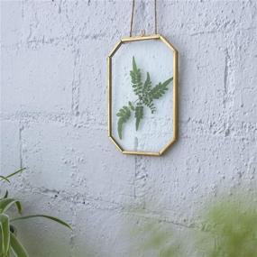 img 1 attached to 🌿 NCYP Gold Octagon Floating Glass Frame for Pressed Plant Specimen, Dried Flowers, DIY Artwork, Photo, Picture Display – 4x6 Inches, Brass Hanging Wall Decor – Frame Only