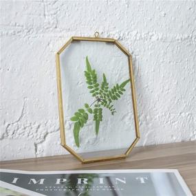 img 3 attached to 🌿 NCYP Gold Octagon Floating Glass Frame for Pressed Plant Specimen, Dried Flowers, DIY Artwork, Photo, Picture Display – 4x6 Inches, Brass Hanging Wall Decor – Frame Only