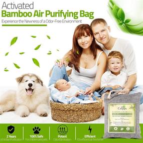 img 1 attached to Cripps Bamboo Charcoal Purifying Moisture Absorbent Heating, Cooling & Air Quality and Air Purifiers