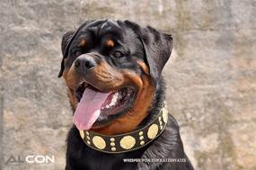 img 1 attached to Bestia Maximus Genuine Rottweiler Bullmastiff Dogs