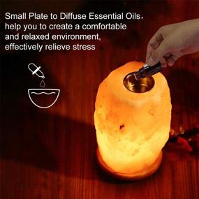 img 3 attached to Pursalt Upgraded Aromatherapy Himalayan Pink Salt Lamp Diffuser with Essential Oil Diffusion, 3 Replacement Bulbs and Wooden Base Night Light