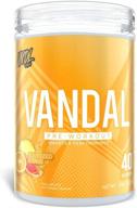 💪 vandal pre workout powder - effective nootropic boost for men & women - energy, focus, performance & recovery - nitric oxide booster - 40 servings logo