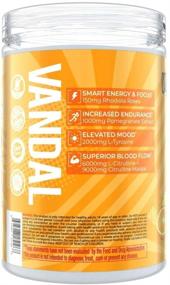 img 2 attached to 💪 VANDAL Pre Workout Powder - Effective Nootropic Boost for Men & Women - Energy, Focus, Performance & Recovery - Nitric Oxide Booster - 40 Servings