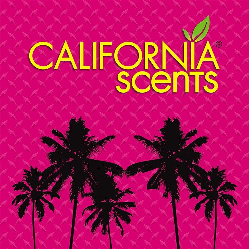 California Scents Can Air Freshener and Odor Neutralizer, Set of 12  Spillproof Cans for Home and Car, Coronado Cherry, 1.5 Oz Each, Pack of 12