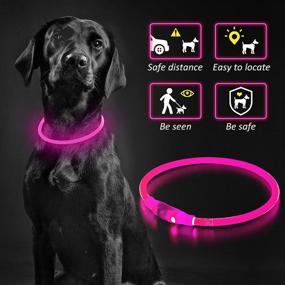 img 3 attached to 🐕 PZRLit Rechargeable LED Dog Collar: Waterproof, Adjustable, and Safe for Night Walking