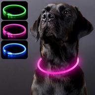 🐕 pzrlit rechargeable led dog collar: waterproof, adjustable, and safe for night walking logo