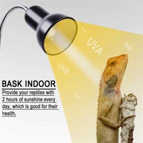 img 3 attached to 🦎 Adjustable 50W Reptile Heat Lamp UVA UVB Light for Aquatic Lizards, Snakes, Chameleons, and Amphibians - Includes 3 Bulbs