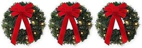 img 2 attached to 🎄 Set of 3 Winter Wonderland Pre-Lit Battery-Operated 18-Inch Wreaths