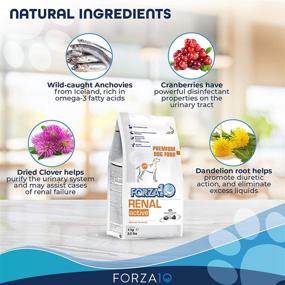 img 2 attached to 🐶 Forza10 Kidney Care Dog Food: Dry Renal Formula for Adult Dogs, 8.8lb Bag - Fish Flavor, Suitable for All Breeds and Sizes