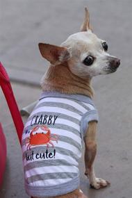 img 1 attached to 🐾 Stylish Parisian Pet Funny Dog Tshirt: Vibrant Striped Summer Attire for Dogs and Cats