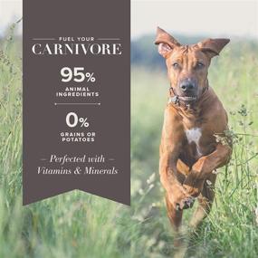 img 2 attached to 🐕 Blue Buffalo Blue Carnivora Prairie Blend: Optimal Prey Nutrition for Grain-Free Adult Wet Dog Food