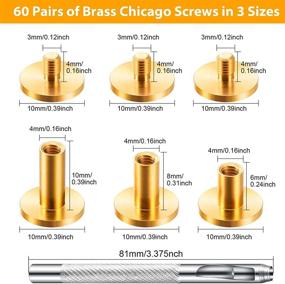 img 3 attached to 60 Pairs Brass Chicago Belt Screws Rivets in 3 Sizes with Backscrews, Bookbinding Studs, and Leather Fasteners – DIY Jean Leather Binding Rivets Set in Gold, Complete with Belt Strap Screw and Hole Punch Tool