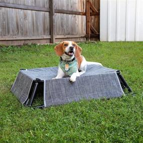 img 2 attached to Sportpet Designs Elevated Reversible Beds