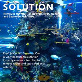img 1 attached to DrTim's Aquatics AquaCleanse Tap Water Cleaner: Reef, Nano & Seahorse Aquarium Solution - Eliminate Harmful Materials, Odors, & Build Up - Reduce Ammonia, Chlorine & Chloramines
