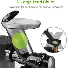 img 3 attached to 🥤 Timford Slow Masticating Juicer Extractor: Cold Press with 2-Speed Modes, Includes 1 Cup & 1 Travel Bottle, Easy to Clean, Quiet Motor – Perfect for Vegetables & Fruits (Grey)