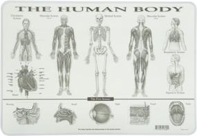 img 1 attached to Painless Learning Human Body Placemat