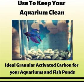 img 2 attached to Premium Coconut Shell Granular Activated Charcoal: Versatile Bulk Carbon for Water Filtration, Aquariums, Ponds, and More!