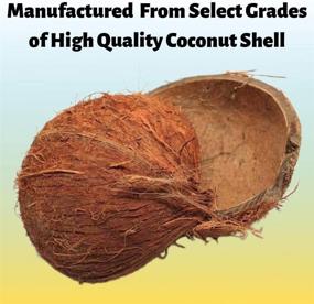 img 3 attached to Premium Coconut Shell Granular Activated Charcoal: Versatile Bulk Carbon for Water Filtration, Aquariums, Ponds, and More!