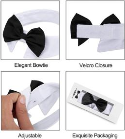 img 3 attached to 🎀 Stylish ZTON Handcrafted Adjustable Bowtie Collar Neck Tie - Perfect for Little Puppies during Christmas!