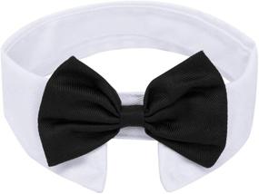 img 4 attached to 🎀 Stylish ZTON Handcrafted Adjustable Bowtie Collar Neck Tie - Perfect for Little Puppies during Christmas!