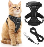 🐱 scirokko reflective cat harness and leash set - adjustable outdoor walking harness with escape proof buckle, soft mesh walking jacket for kittens, puppies... logo