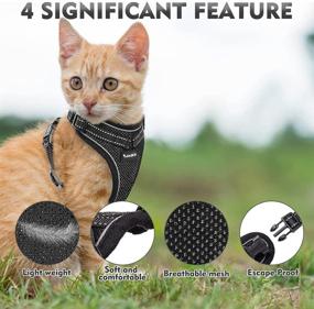 img 2 attached to 🐱 SCIROKKO Reflective Cat Harness and Leash Set - Adjustable Outdoor Walking Harness with Escape Proof Buckle, Soft Mesh Walking Jacket for Kittens, Puppies...