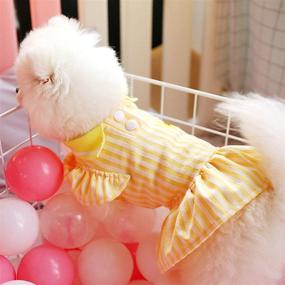 img 1 attached to 🎂 PETCARE Birthday Dog Dress: Cute Yellow Striped Puppy Shirt Dress for Small Medium Dogs & Cats - Soft Summer Ruffle Sleeve Pet Skirt Girl Dog Clothes