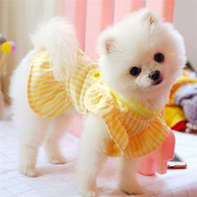 img 3 attached to 🎂 PETCARE Birthday Dog Dress: Cute Yellow Striped Puppy Shirt Dress for Small Medium Dogs & Cats - Soft Summer Ruffle Sleeve Pet Skirt Girl Dog Clothes