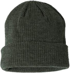 img 1 attached to Champion CS4003 Ribbed Knit Cap - Enhanced for SEO