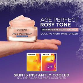 img 2 attached to 💆 L'Oreal Paris Age Perfect Rosy Tone Cooling Night Moisturizer - Make your skin more supple and reactivate rosy radiance with this 1.7 oz face moisturizer for firm skin.