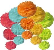 bastex tissue paper pom decorations логотип