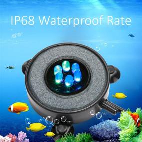 img 3 attached to 🐠 Enhance Your Aquarium with the DXCEL LED Air Bubble Light: Vibrant Color Changing LEDs and Air Curtain Bubble Stone Disk for Fish Tanks