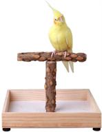 kintor tabletop bird stand: portable tee stand perch gym for small to medium parrots - parrot play stand for enhanced engagement логотип