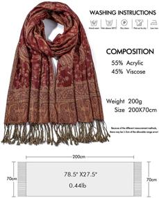 img 3 attached to Paisley Reversible Pashmina Scarves: Women's Blanket Accessories for Wraps & Scarves