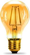 🌟 bronze amber dc 12 volt edison light bulb a19 soft white 2700k 6w led e26 standard screw medium base lamp for camper, rv, trailer, vintage motorhome - wide voltage band, ensuite dinette, 12v-36v refit logo