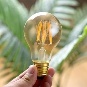 img 2 attached to 🌟 Bronze Amber DC 12 Volt Edison Light Bulb A19 Soft White 2700k 6W LED E26 Standard Screw Medium Base Lamp for Camper, RV, Trailer, Vintage Motorhome - Wide Voltage Band, Ensuite Dinette, 12V-36V Refit