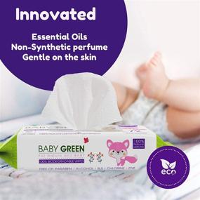 img 3 attached to 🍃 Compostable Biodegradable Baby Wipes with Natural Essential Oils – Pack of 432, Plastic-Free, 99% Pure Water, Gentle Wet Wipes for Sensitive Skin of Babies & Adults