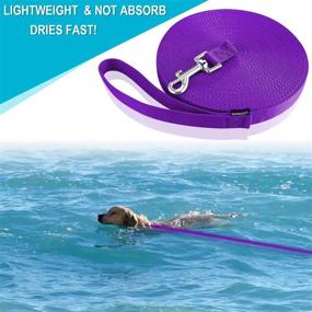 img 2 attached to 🐾 Premium PETESCORT Dog/Puppy/Cat 15 ft, 20 ft, 30 ft, 50 ft Long Leash – Ideal for Training, Playing, and Camping with Small to Medium Dogs or Cats