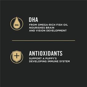 img 2 attached to Purina Pro Plan Probiotic Sensitive