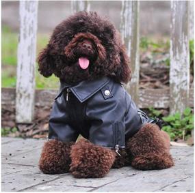 img 4 attached to Cuteboom Leather Jacket Motorcycle Clothing Dogs in Apparel & Accessories