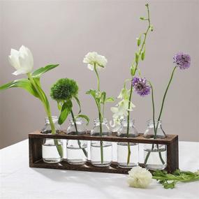 img 1 attached to 🏺 Glass Bud Vases Set with Wood Crate Stand - WHOLE HOUSEWARES (13.1X2.8X4.5in)