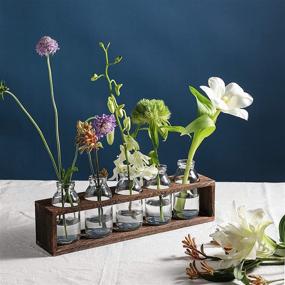 img 2 attached to 🏺 Glass Bud Vases Set with Wood Crate Stand - WHOLE HOUSEWARES (13.1X2.8X4.5in)