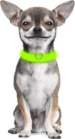 img 1 attached to 🐶 Rechargeable LED Dog Collar by Clio Illuminated: Optimized for Enhanced Visibility