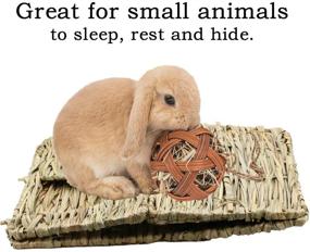img 1 attached to SERJOOC Grass House Hideaway: Natural Seagrass Mat Foldable Bed for Rabbits, Bunny, Guinea Pig, Chinchilla, Ferret, and Other Small Animals - Hand Woven Rabbit Hut Toy