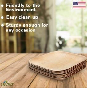 img 3 attached to 🌿 VIRIDIS Palm Leaf Plates: 10-Pack of Biodegradable and Compostable Eco-Friendly Bamboo Style Plates (10, 9 Inch)