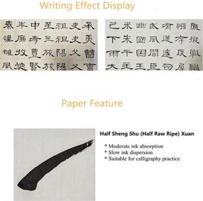 img 2 attached to 🖌️ MEGREZ Chinese Calligraphy Brush Writing Sumi Paper: Xuan Rice Paper Roll with Grids for Students and Beginners Practice - 7.5 cm/Grid, 13.7" x 1968.5"/Roll, White