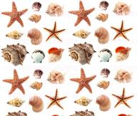 seashells stickers decals scrapbook shells logo