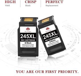 img 3 attached to 🖨️ Toner Kingdom Remanufactured Ink-Cartridge Replacement for Canon PG-245XL and PG-243 - Fits Canon PIXMA MX490, MX492, MG2522, MG2420, MG2924, MG2920, TS3122, and IP2820 - Includes 2 Black Cartridges