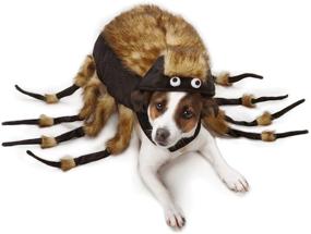 img 3 attached to 🕷️ Fuzzy Tarantula Costume by Zack &amp; Zoey